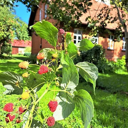 Villa Pokrzepka