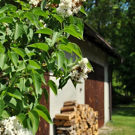 Pokrzepka Villa *