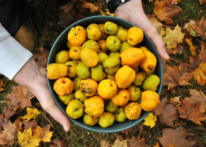 Вилла Pokrzepka Спыхово